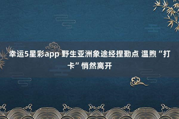 幸运5星彩app 野生亚洲象途经捏勤点 温煦“打卡”悄然离开