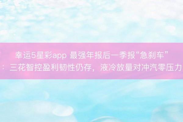 幸运5星彩app 最强年报后一季报“急刹车”：三花智控盈利韧性仍存，液冷放量对冲汽零压力